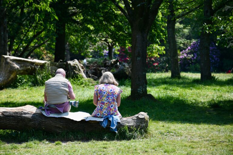 A man and woman sit on a log under trees in a sunlit park scene, enjoying nature.