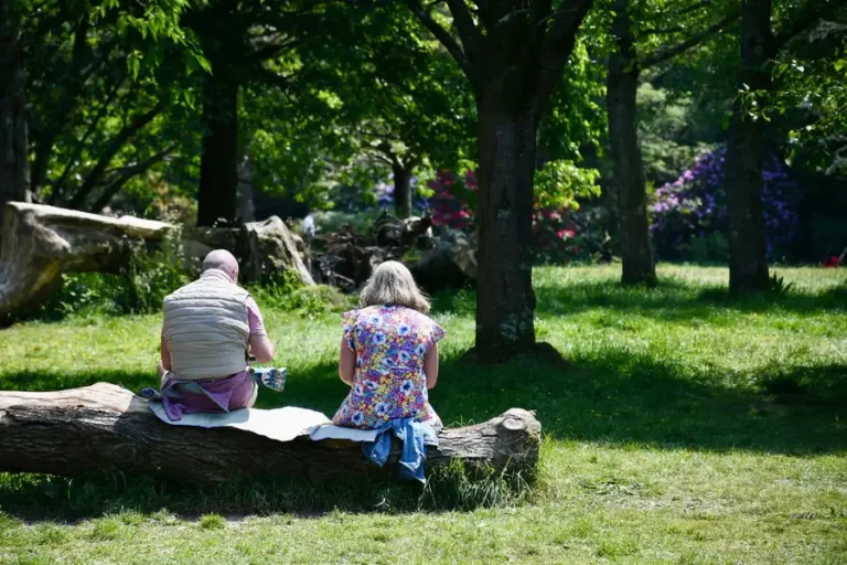A man and woman sit on a log under trees in a sunlit park scene, enjoying nature.